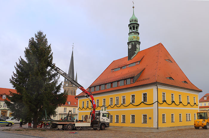 Weihnachtsbaum Weihnachtsbaum