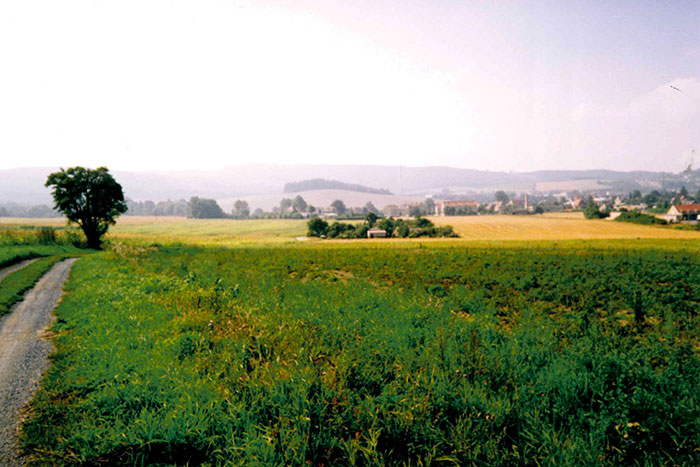 Blick in Richtung Langburkersdorf im August 1991, Foto: Ulrike Köhler