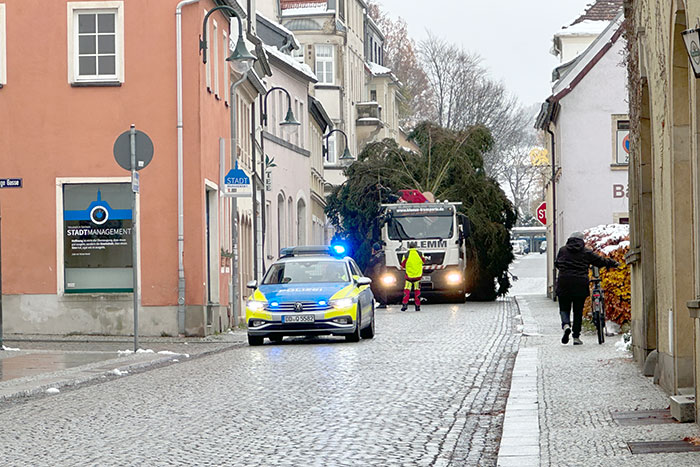 Antransport des Weihnachtsbaumes