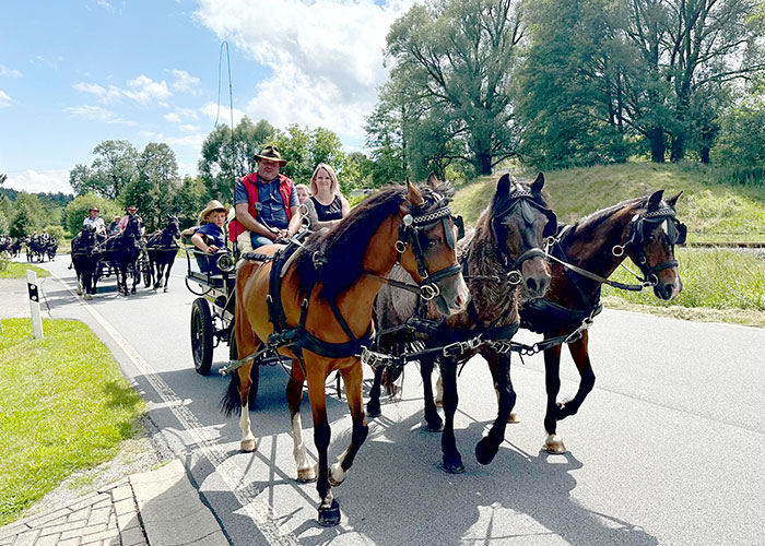 Marco Rinke mit seinem Kremser zur Kutschenrundfahrt 2024