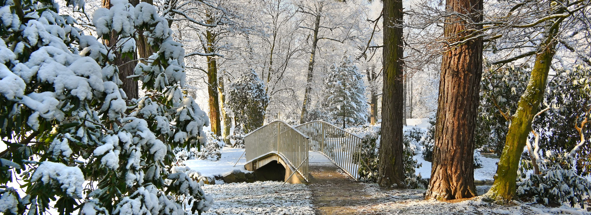 Winter im Arthur-Richter-Park